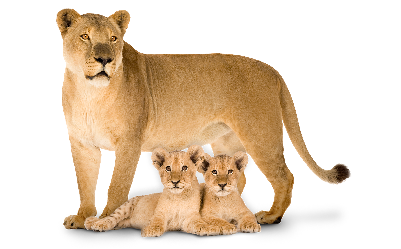 Istock 1157552838 Edited 2